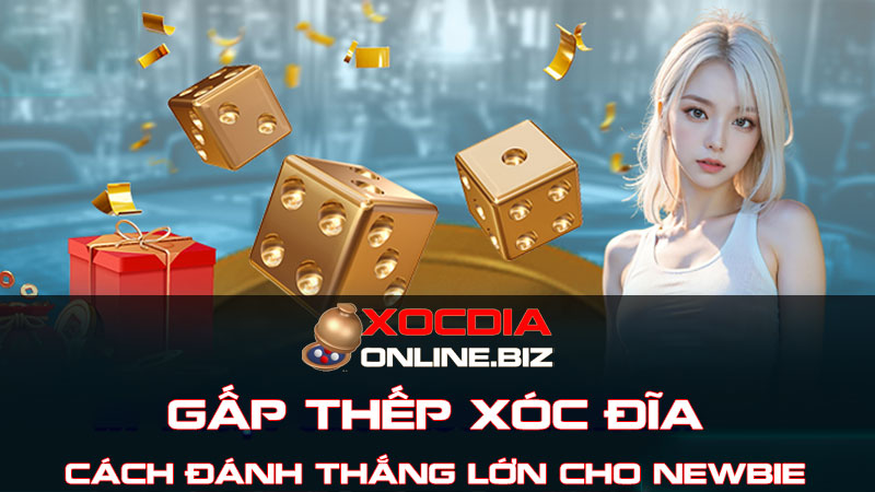 Cách đánh gấp thếp xóc đĩa thắng lớn dành cho newbie